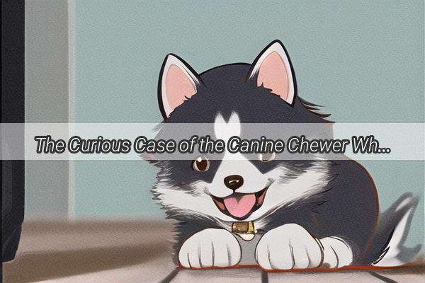 The Curious Case of the Canine Chewer When Fidos Fur Feels the Bite